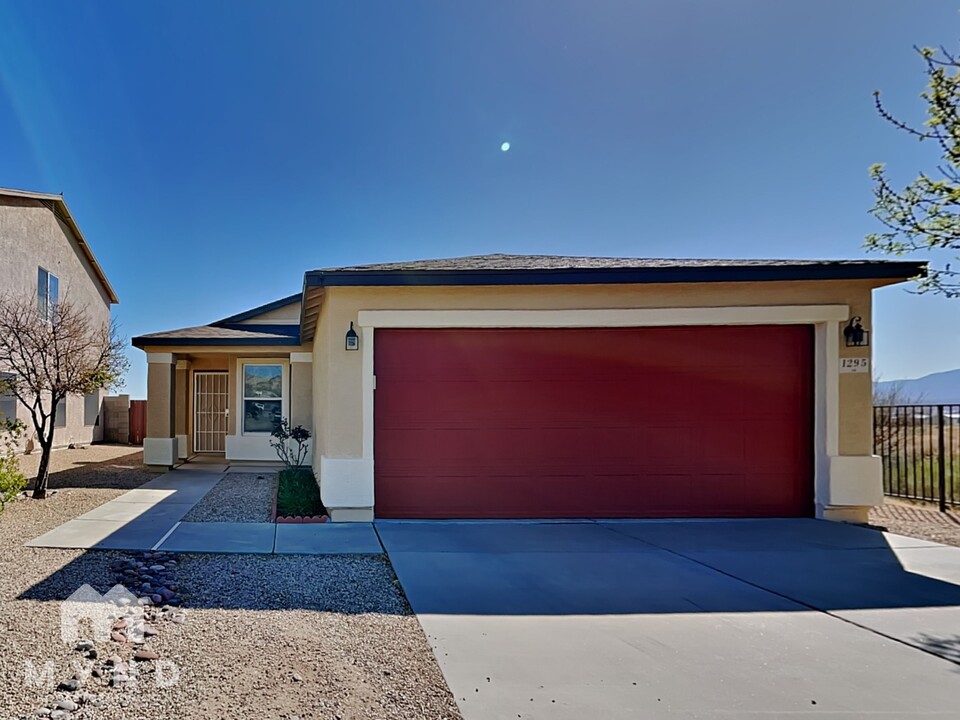 1295 W Placita Tecolote Mesa in Sahuarita, AZ - Building Photo