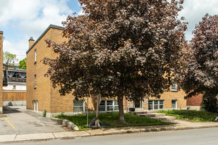 29 Putman Ave in Ottawa, ON - Building Photo