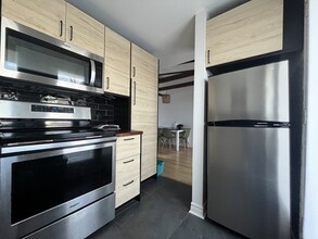 1723 Alexandre-Desève Rue in Montréal, QC - Building Photo - Building Photo