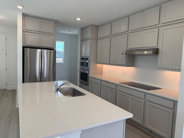 17609 Japonica Bloom Dr in Oakland, FL - Building Photo - Building Photo