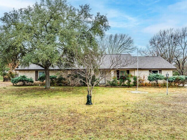 317 Cedar Dr in Mountain City, TX - Building Photo - Building Photo