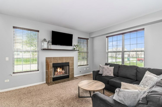675 Elizabeth Ct in Romeoville, IL - Building Photo - Building Photo