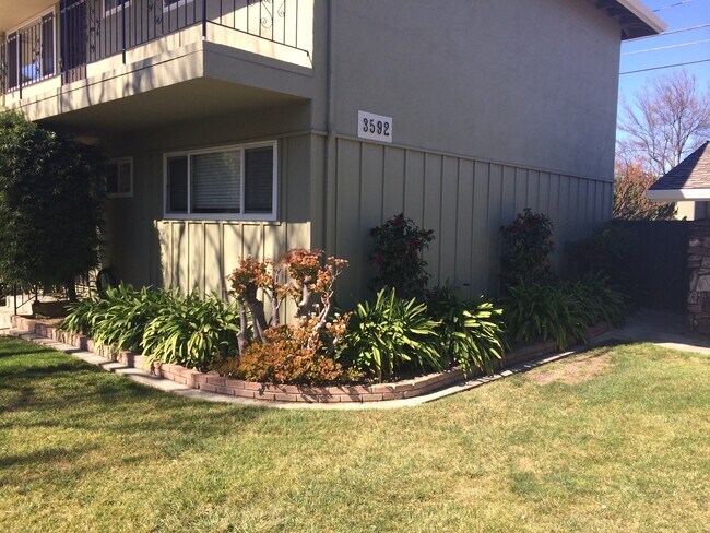 3592 Payne Ave in San Jose, CA - Building Photo - Building Photo