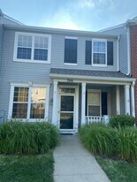 266 Springbrook Trail S in Oswego, IL - Building Photo