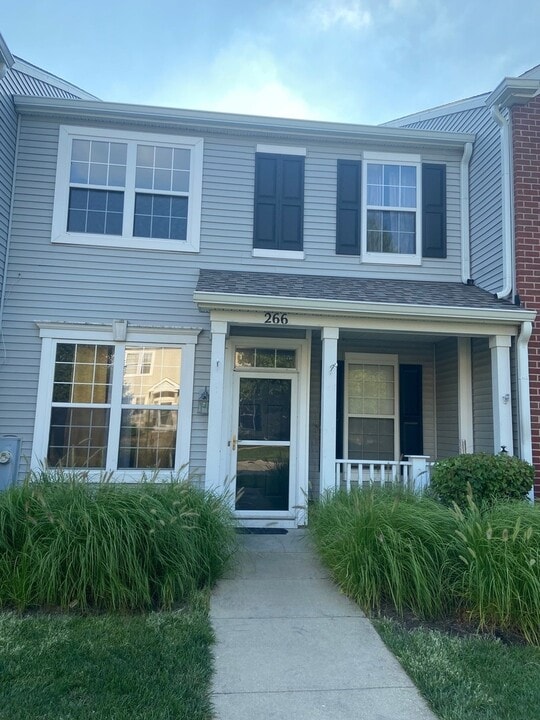 266 Springbrook Trail S in Oswego, IL - Building Photo