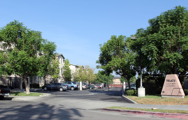 Telacu Las Flores Apartments in Pacoima, CA - Building Photo - Building Photo