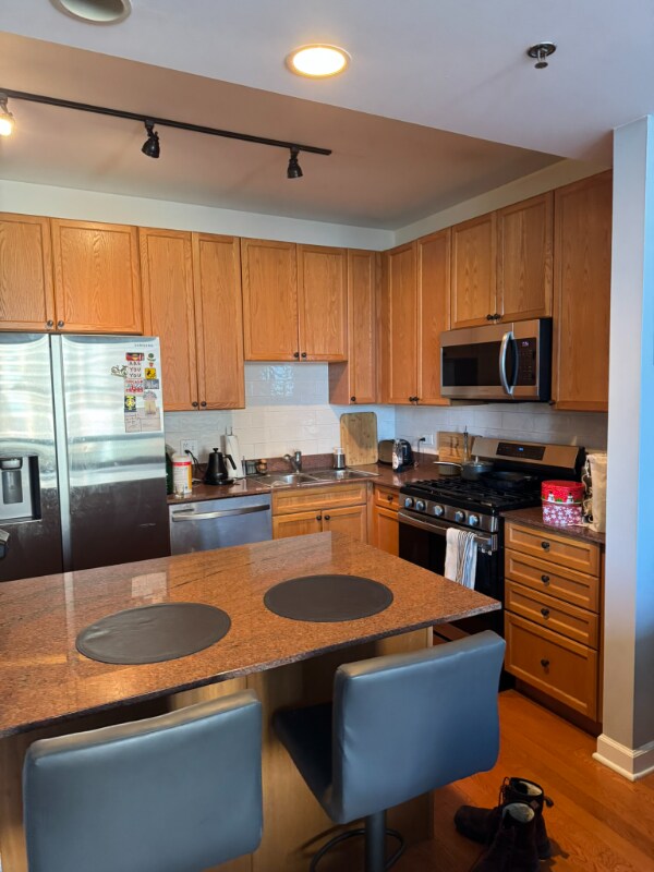 1250 S Michigan Ave in Chicago, IL - Building Photo - Building Photo