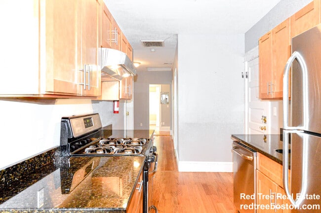 231 Chestnut Hill Ave, Unit 3 in Boston, MA - Building Photo - Building Photo