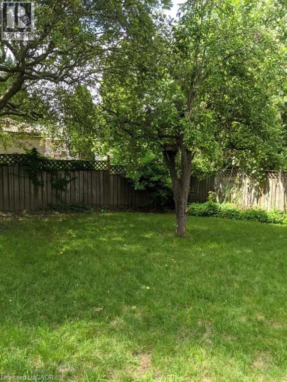 16 Park St in Kitchener, ON - Building Photo - Building Photo