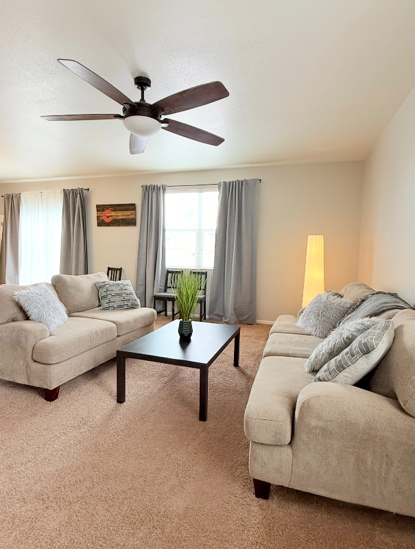 3634 Daylily St in Wellington, CO - Building Photo - Building Photo