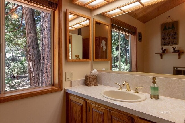 25316 Marion Ridge Dr in Idyllwild, CA - Foto de edificio - Building Photo