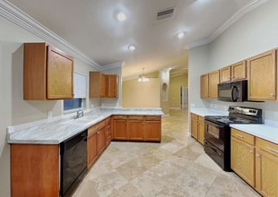 13422 Fladgate Mark Drive in Riverview, FL - Building Photo - Building Photo