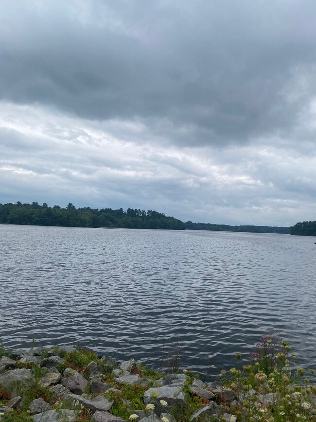 property at 15 Falls Rd