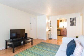29 Oxford Cir, Unit 1 in Belmont, MA - Building Photo - Building Photo