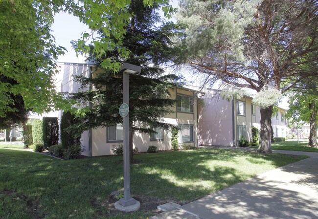 Park Terrace Apartments in Yuba City, CA - Building Photo - Building Photo