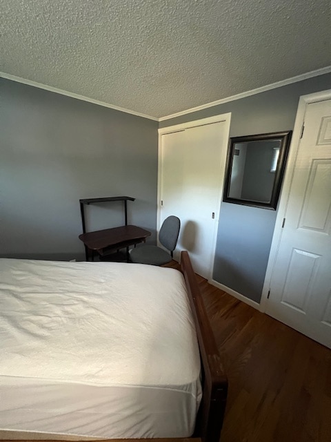 240 Greenaway Dr in Springfield, MA - Building Photo - Building Photo