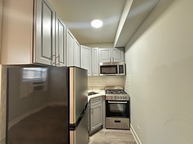 545 W Belmont Ave, Unit i3 in Chicago, IL - Building Photo - Building Photo