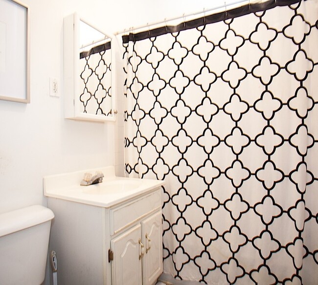 135 Columbia St, Unit 2L in Cambridge, MA - Building Photo - Building Photo
