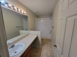 4529 Winding River Way in Land O Lakes, FL - Building Photo - Building Photo