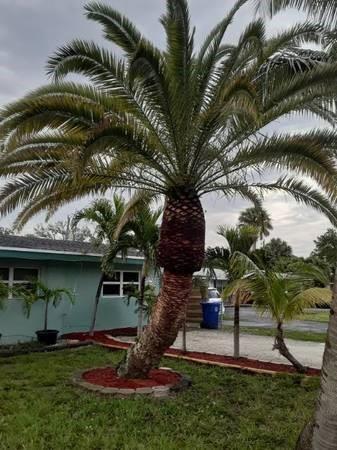 property at 1561 SW 30th St