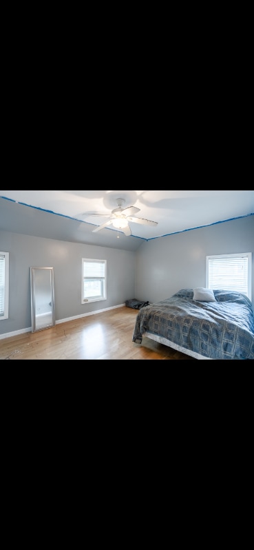 1120 Williams St in Collinsville, IL - Building Photo - Building Photo
