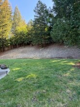 2406 Alamo Glen Dr in Alamo, CA - Foto de edificio - Building Photo