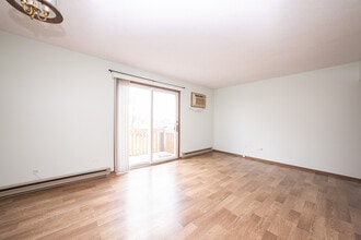 218 Madison St in Joliet, IL - Building Photo - Building Photo