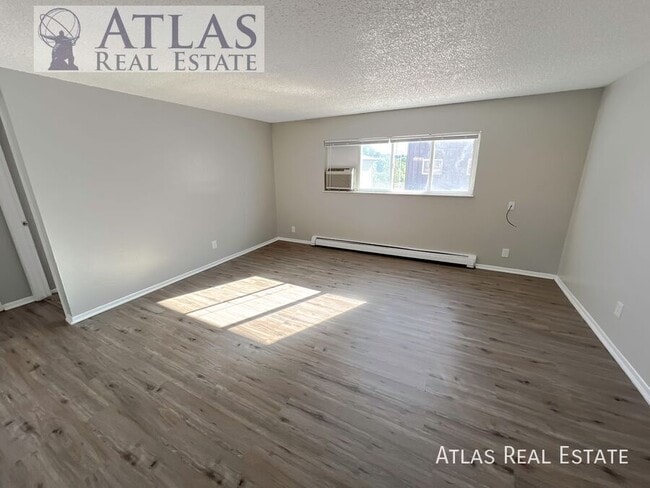 2116 Friendship Pl in Colorado Springs, CO - Building Photo - Building Photo