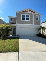 34126 Scarlet Sage Ct in Wesley Chapel, FL - Building Photo