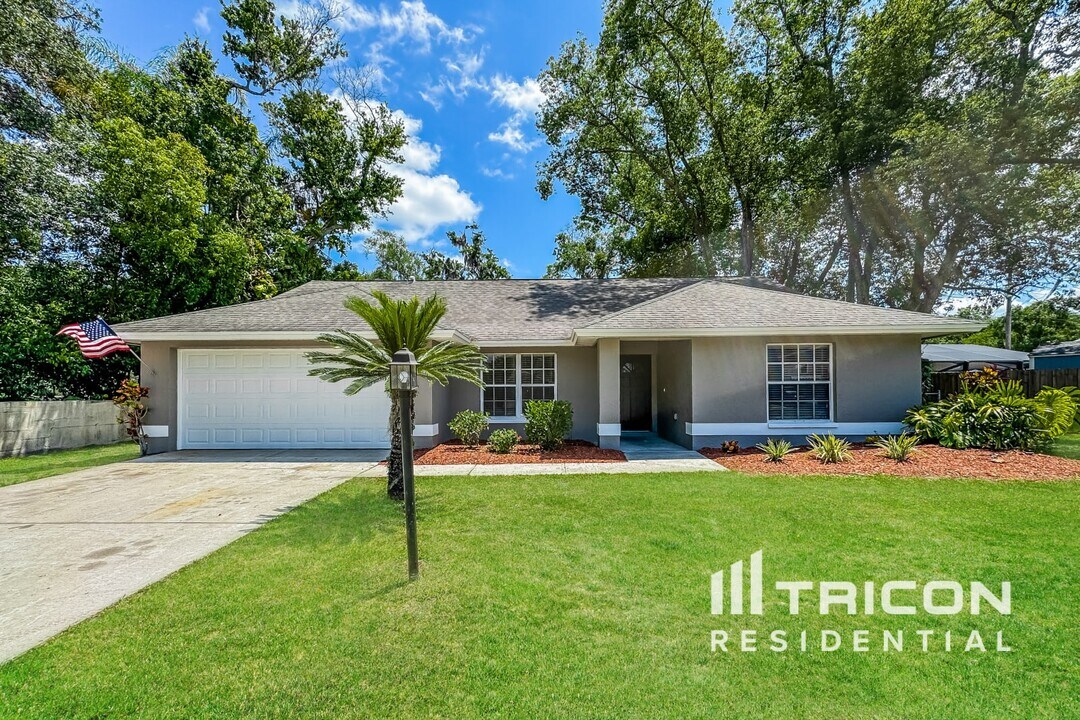 19203 Sunlake Blvd in Lutz, FL - Building Photo