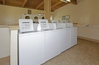 Castle Hill Apartments photo'