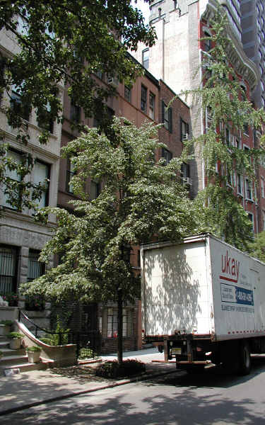 124 E 71st St in New York, NY - Building Photo