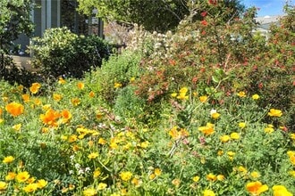 171 Costa Mesa St in Costa Mesa, CA - Building Photo - Building Photo