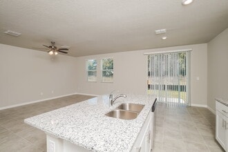 38899 Harlow Rose Dr in Zephyrhills, FL - Foto de edificio - Building Photo