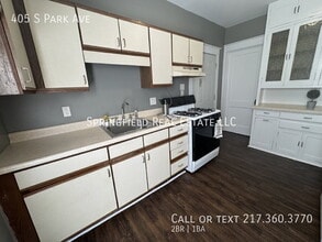 405 S Park Ave in Springfield, IL - Building Photo - Building Photo