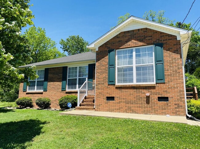 property at 828 Mulberry Dr