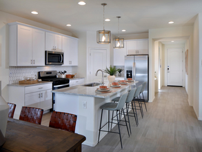 10315 W Robertson St in Marana, AZ - Building Photo - Building Photo