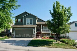 9847 Sydney Ln in Littleton, CO - Building Photo