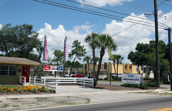 Cinnamon Cove Apartments in Tampa, FL - Building Photo - Building Photo