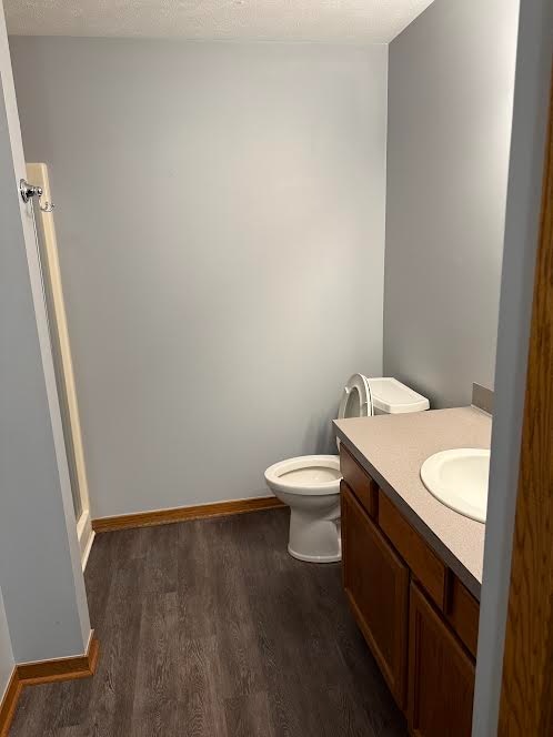 415 3rd St in Middleville, MI - Building Photo - Building Photo