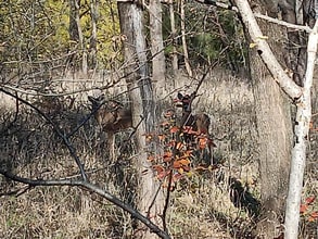 2421 S Yellowstone St in Wichita, KS - Building Photo - Building Photo