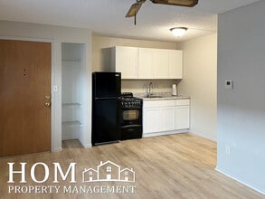 107 E Liberty St, Unit 2 in Mankato, MN - Building Photo - Building Photo