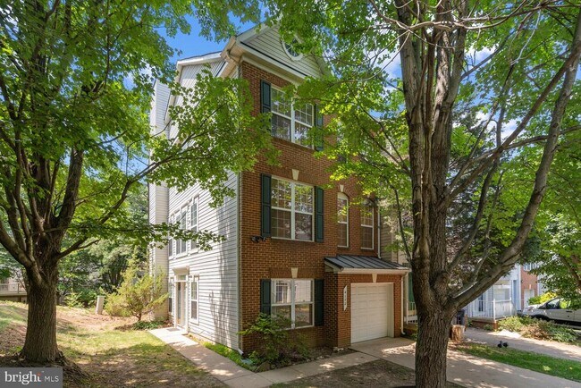 4172 Zinnia Ln in Fairfax, VA - Building Photo - Building Photo