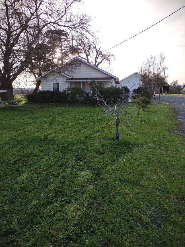 935 5th Ave Rentals in Orland, CA