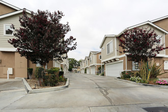 4050-4068 Green Ave in Los Alamitos, CA - Foto de edificio - Building Photo