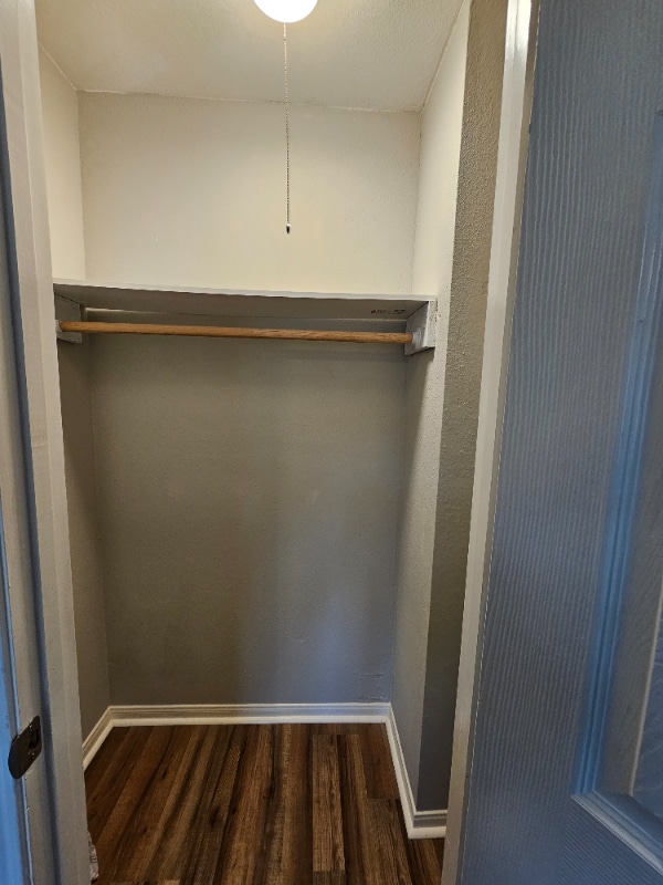 19403 Youngtree Cir in Houston, TX - Building Photo - Building Photo