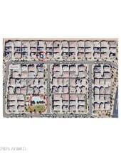 16648 W Jenan Dr in Surprise, AZ - Building Photo - Building Photo