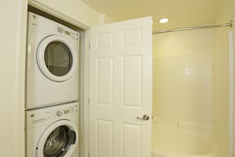 Solterra Eco Luxury Apartments in San Diego, CA - Building Photo - Interior Photo