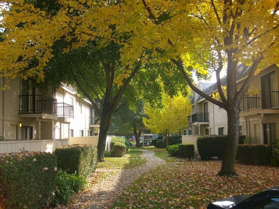 Cadillac Drive Townhomes in Sacramento, CA - Foto de edificio