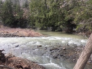 5 Charles St in Ithaca, NY - Building Photo - Building Photo